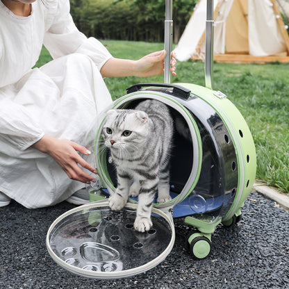 Pet Box New Transparent Simple Large Capacity Portable Creative Pet Backpack Space Capsule Dog Cat Luggage 