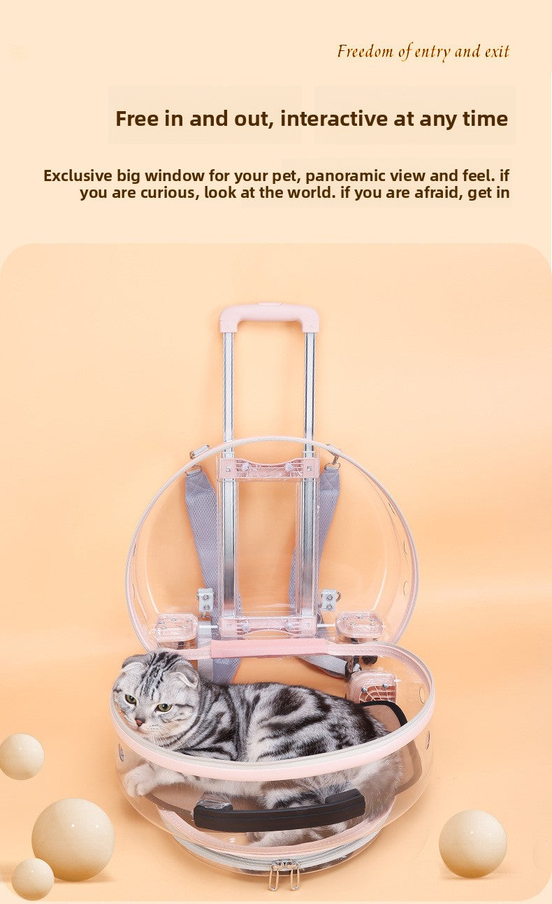 Pet Box New Transparent Simple Large Capacity Portable Creative Pet Backpack Space Capsule Dog Cat Luggage 