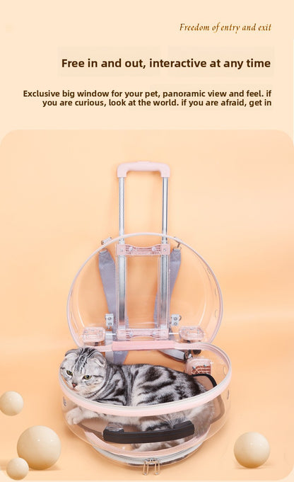 Pet Box New Transparent Simple Large Capacity Portable Creative Pet Backpack Space Capsule Dog Cat Luggage 