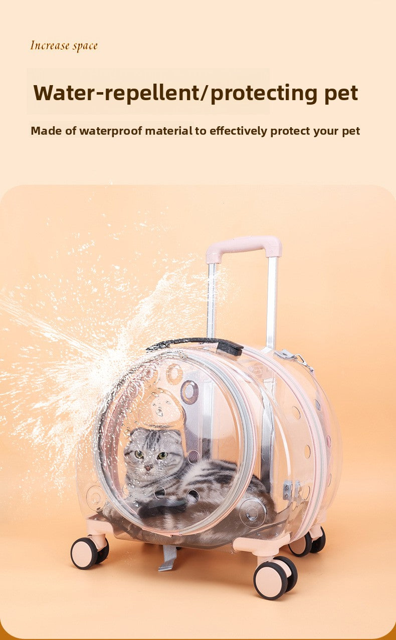 Pet Box New Transparent Simple Large Capacity Portable Creative Pet Backpack Space Capsule Dog Cat Luggage 