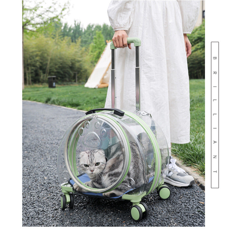 Pet Box New Transparent Simple Large Capacity Portable Creative Pet Backpack Space Capsule Dog Cat Luggage 