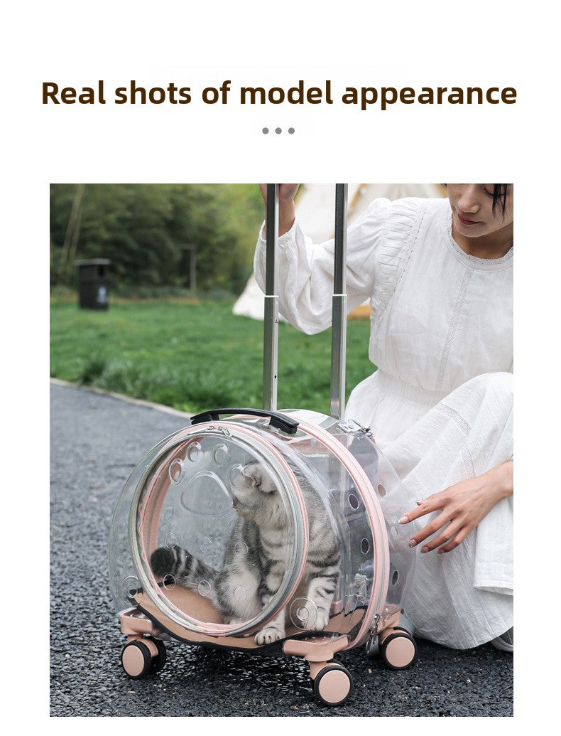 Pet Box New Transparent Simple Large Capacity Portable Creative Pet Backpack Space Capsule Dog Cat Luggage 