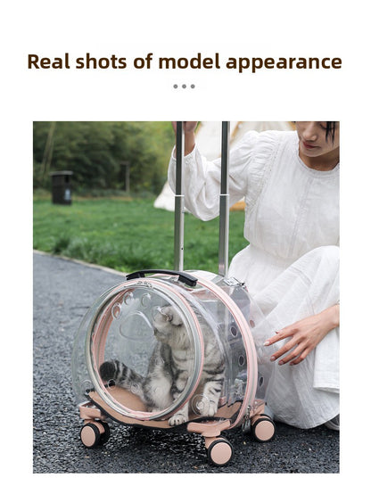 Pet Box New Transparent Simple Large Capacity Portable Creative Pet Backpack Space Capsule Dog Cat Luggage 