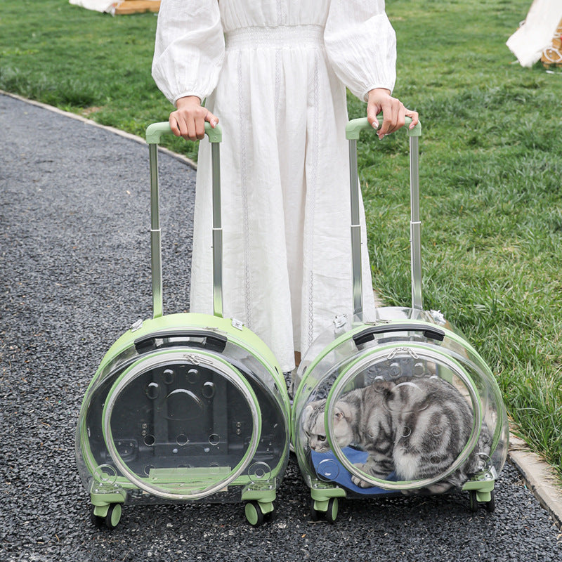 Pet Box New Transparent Simple Large Capacity Portable Creative Pet Backpack Space Capsule Dog Cat Luggage 