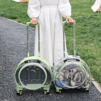 Pet Box New Transparent Simple Large Capacity Portable Creative Pet Backpack Space Capsule Dog Cat Luggage 