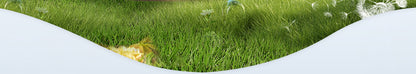 Dog Diapers Pet Diapers Male Dog Female Dog Sanitary Pants Sanitary Pads 