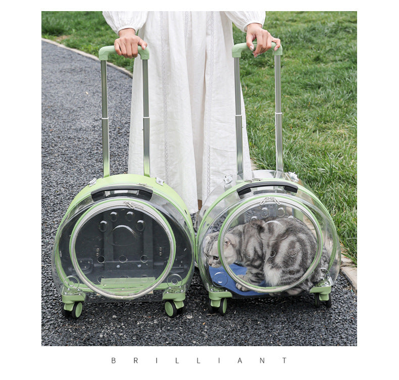 Pet Box New Transparent Simple Large Capacity Portable Creative Pet Backpack Space Capsule Dog Cat Luggage 