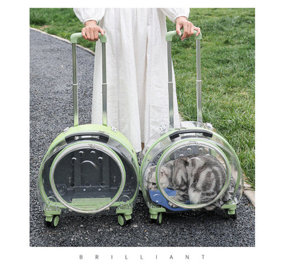 Pet Box New Transparent Simple Large Capacity Portable Creative Pet Backpack Space Capsule Dog Cat Luggage 