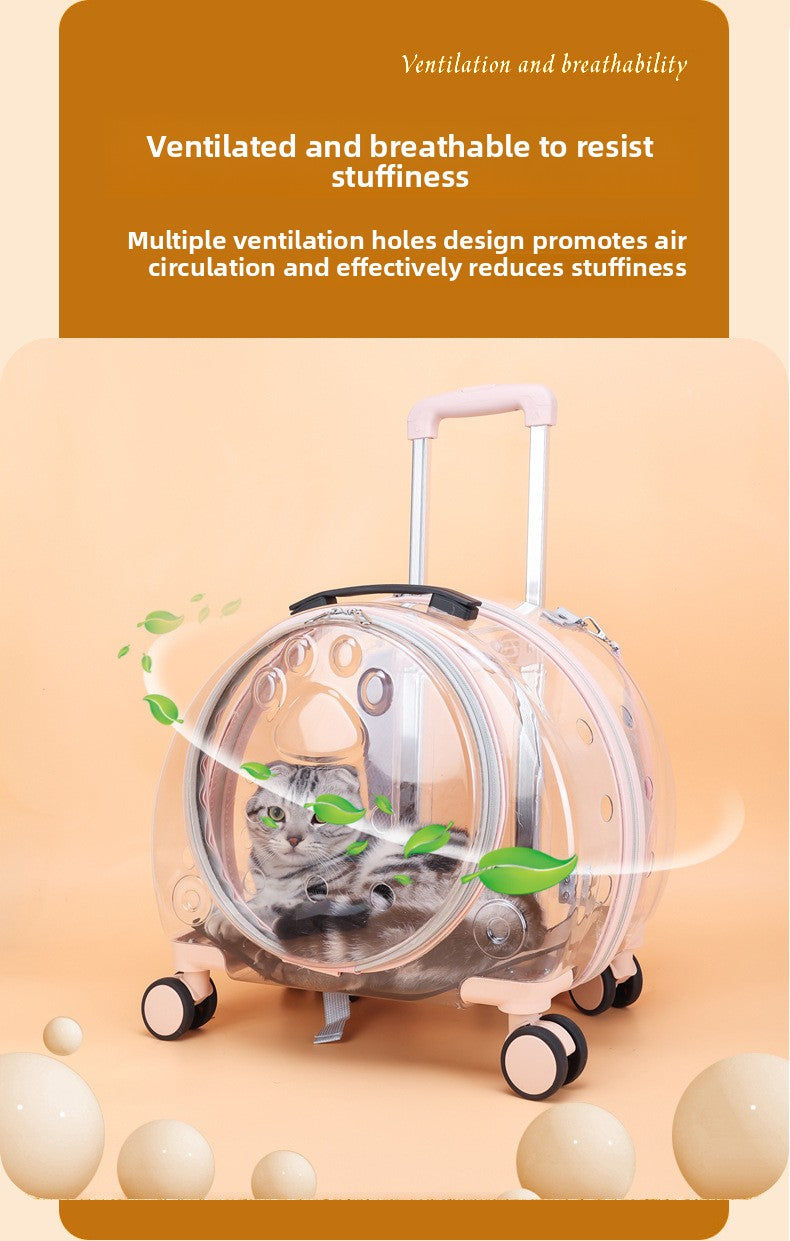 Pet Box New Transparent Simple Large Capacity Portable Creative Pet Backpack Space Capsule Dog Cat Luggage 