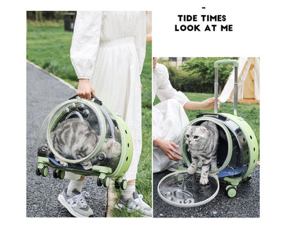 Pet Box New Transparent Simple Large Capacity Portable Creative Pet Backpack Space Capsule Dog Cat Luggage 