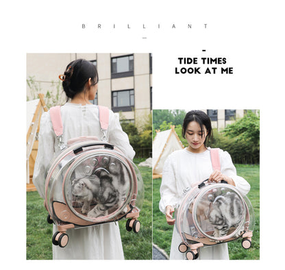 Pet Box New Transparent Simple Large Capacity Portable Creative Pet Backpack Space Capsule Dog Cat Luggage 
