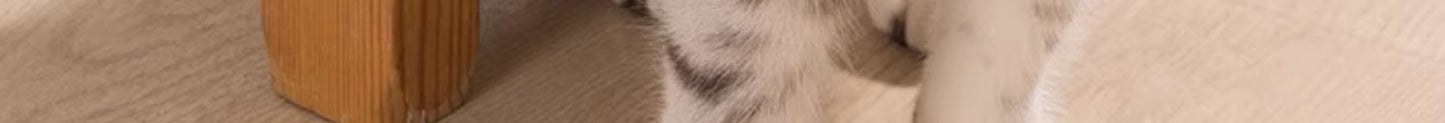 Cat Scratching Post Pet Table Leg Strap Comb Silicone Wall Corner Massage Kitten Scratching Board Cat Toy Hair Scratching Supplies 