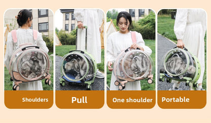 Pet Box New Transparent Simple Large Capacity Portable Creative Pet Backpack Space Capsule Dog Cat Luggage 