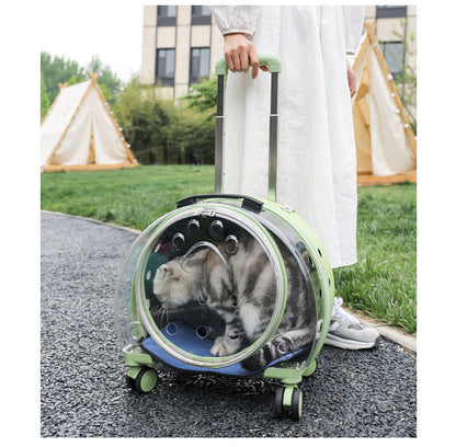 Pet Box New Transparent Simple Large Capacity Portable Creative Pet Backpack Space Capsule Dog Cat Luggage 