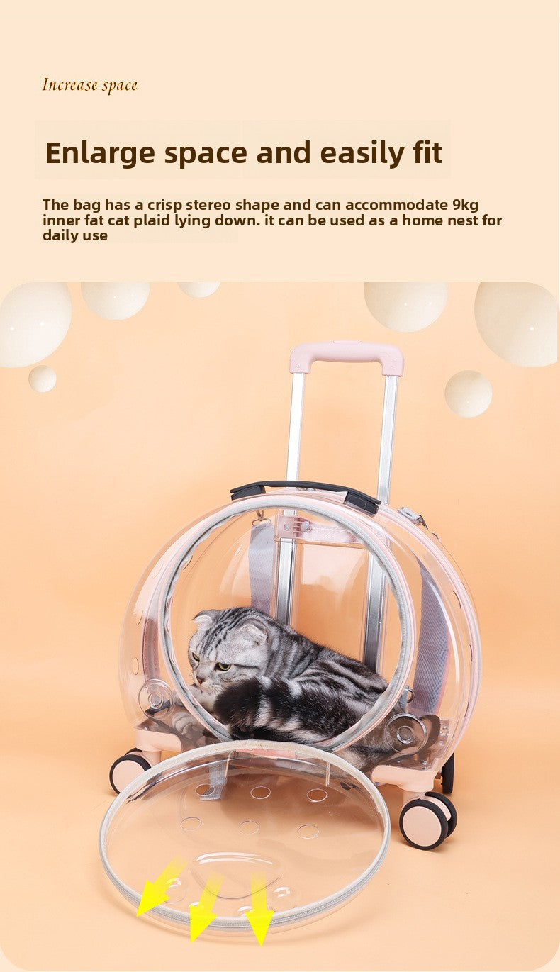 Pet Box New Transparent Simple Large Capacity Portable Creative Pet Backpack Space Capsule Dog Cat Luggage 