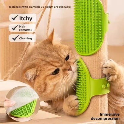 Pet cats can relieve stress by getting their fur brushedcomb