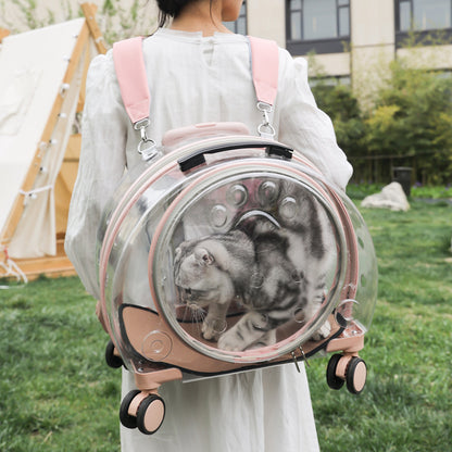 Pet Box New Transparent Simple Large Capacity Portable Creative Pet Backpack Space Capsule Dog Cat Luggage 