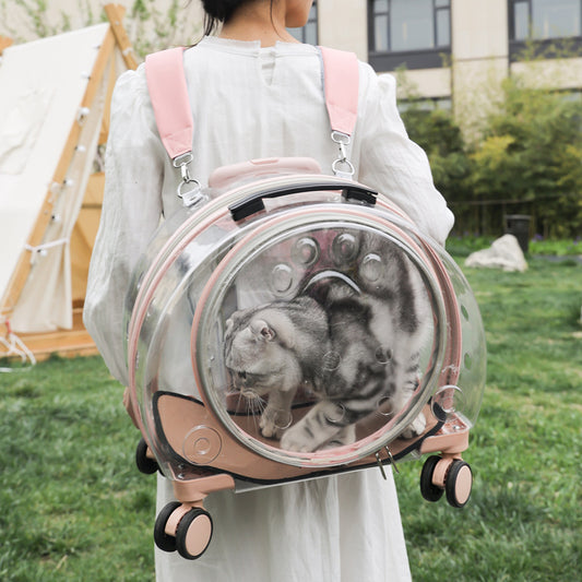 Pet Box New Transparent Simple Large Capacity Portable Creative Pet Backpack Space Capsule Dog Cat Luggage 